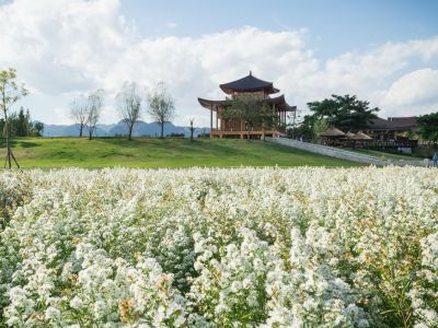 Κινέζικο Ωροσκόπιο 2026: Προβλέψεις των ζωδίων από 17/04 έως 16/05