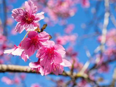 Διάβασε την προσωπική σου πρόβλεψη, για σήμερα 11/04/2026