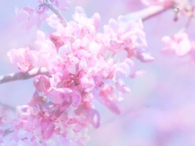 Διάβασε την προσωπική σου πρόβλεψη, για σήμερα 15/04/2026