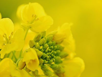 Διάβασε την προσωπική σου πρόβλεψη, για σήμερα 21/04/2026