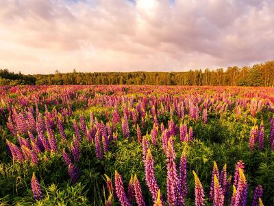 Διάβασε την προσωπική σου πρόβλεψη, για σήμερα 25/04/2026