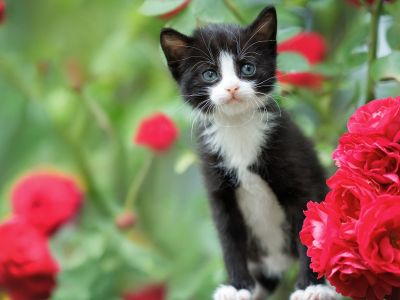 Διάβασε την προσωπική σου πρόβλεψη, για σήμερα 24/04/2026