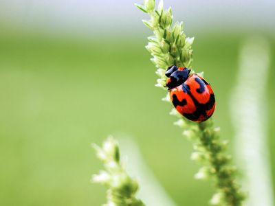 Διάβασε την προσωπική σου πρόβλεψη, για σήμερα 14/04/2026