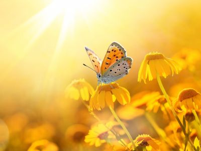 Διάβασε την προσωπική σου πρόβλεψη, για σήμερα 17/04/2026