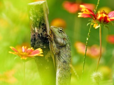 Διάβασε την προσωπική σου πρόβλεψη, για σήμερα 18/04/2026