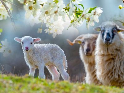 Διάβασε την προσωπική σου πρόβλεψη, για σήμερα 12/04/2026