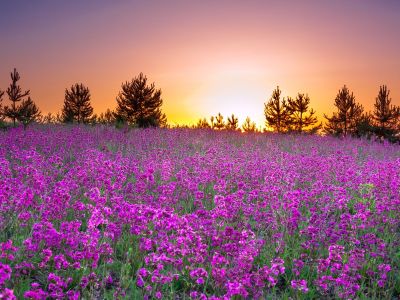 Διάβασε την προσωπική σου πρόβλεψη, για σήμερα 19/04/2026
