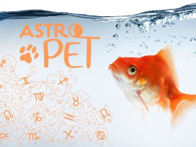 AstroPet από 14/04 έως 20/04: Εβδομαδιαίες προβλέψεις για το κατοικίδιό σου