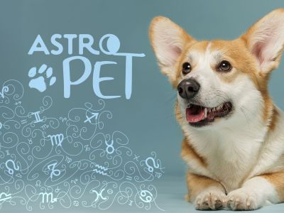 AstroPet από 21/04 έως 27/04: Εβδομαδιαίες προβλέψεις για το κατοικίδιό σου