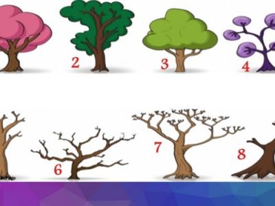 Ποιο δέντρο από τα 8 σε αντιπροσωπεύει; Η επιλογή σου αποκαλύπτει τον αληθινό σου χαρακτήρα