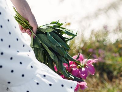 Ημερήσιες Προβλέψεις για όλα τα Ζώδια, 29/04/26: Ισορροπίες που δοκιμάζονται