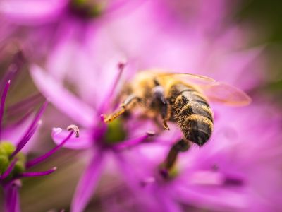 Διάβασε την προσωπική σου πρόβλεψη, για σήμερα 28/04/2026