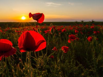 Διάβασε την προσωπική σου πρόβλεψη, για σήμερα 29/04/2026