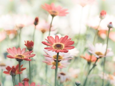 Διάβασε την προσωπική σου πρόβλεψη, για σήμερα 27/04/2026