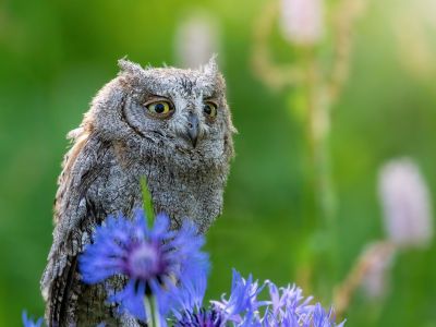 Διάβασε την προσωπική σου πρόβλεψη, για σήμερα 26/04/2026