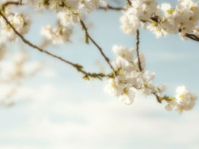 Διάβασε την προσωπική σου πρόβλεψη, για σήμερα 06/05/2026