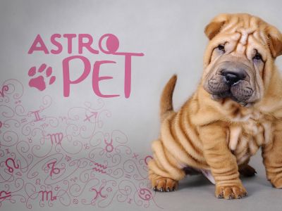 AstroPet από 28/04 έως 04/05: Εβδομαδιαίες προβλέψεις για το κατοικίδιό σου