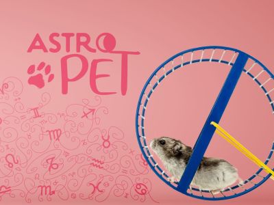 AstroPet από 05/05 έως 11/05: Εβδομαδιαίες προβλέψεις για το κατοικίδιό σου