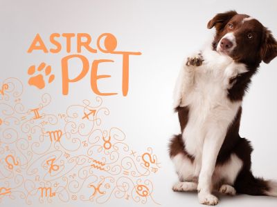 AstroPet από 19/05 έως 25/05: Εβδομαδιαίες προβλέψεις για το κατοικίδιό σου