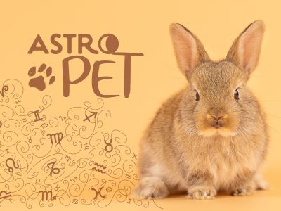 AstroPet από 26/05 έως 01/06: Εβδομαδιαίες προβλέψεις για το κατοικίδιό σου