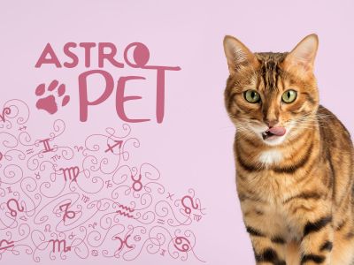 AstroPet από 12/05 έως 18/05: Εβδομαδιαίες προβλέψεις για το κατοικίδιό σου