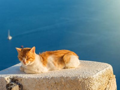 Διάβασε την προσωπική σου πρόβλεψη, για σήμερα 02/06/2026