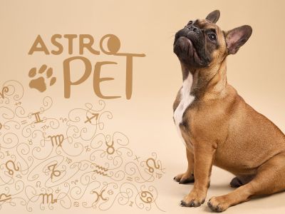 AstroPet από 02/06 έως 08/06: Εβδομαδιαίες προβλέψεις για το κατοικίδιό σου