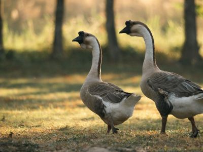Διάβασε την προσωπική σου πρόβλεψη, για σήμερα 12/06/2026