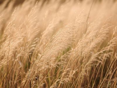 Διάβασε την προσωπική σου πρόβλεψη, για σήμερα 11/06/2026