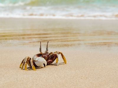 Διάβασε την προσωπική σου πρόβλεψη, για σήμερα 22/06/2026