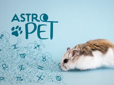AstroPet από 09/06 έως 15/06: Εβδομαδιαίες προβλέψεις για το κατοικίδιό σου