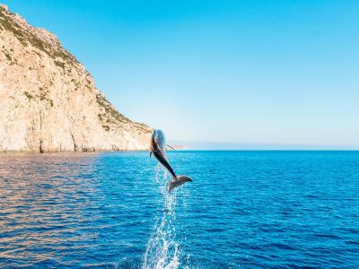 Διάβασε την προσωπική σου πρόβλεψη, για σήμερα 16/06/2026