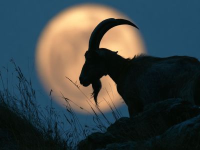 Πανσέληνος στον Αιγόκερω: Τέλος τα όνειρα και οι ψευδαισθήσεις για τα 12 ζώδια