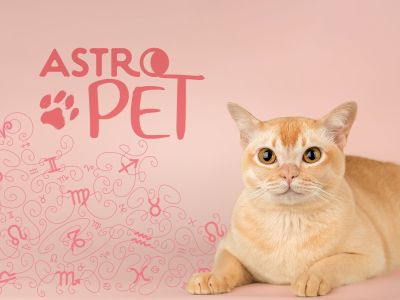 AstroPet από 23/06 έως 29/06: Εβδομαδιαίες προβλέψεις για το κατοικίδιό σου