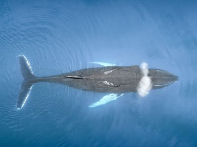 Διάβασε την προσωπική σου πρόβλεψη, για σήμερα 02/07/2026