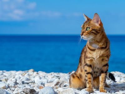 Διάβασε την προσωπική σου πρόβλεψη, για σήμερα 04/07/2026