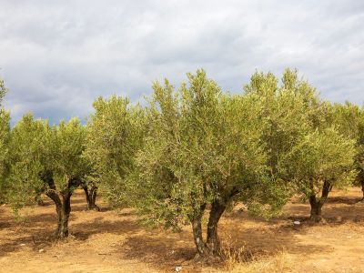 Διάβασε την προσωπική σου πρόβλεψη, για σήμερα 21/07/2026