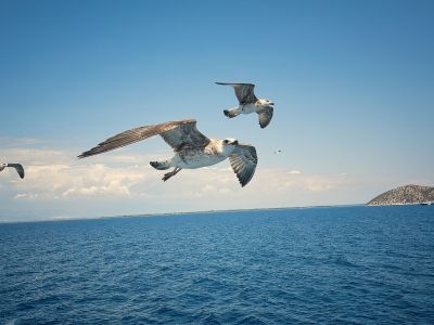 Διάβασε την προσωπική σου πρόβλεψη, για σήμερα 20/07/2026
