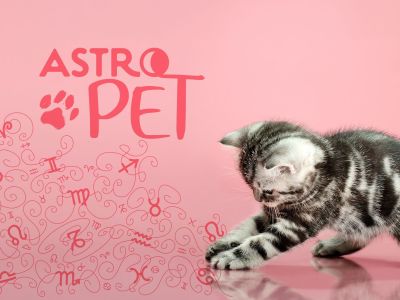 AstroPet από 07/07 έως 13/07: Εβδομαδιαίες προβλέψεις για το κατοικίδιό σου