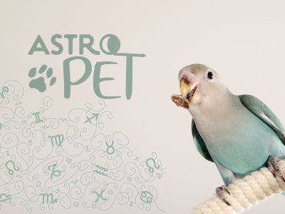 AstroPet από 21/07 έως 27/07: Εβδομαδιαίες προβλέψεις για το κατοικίδιό σου