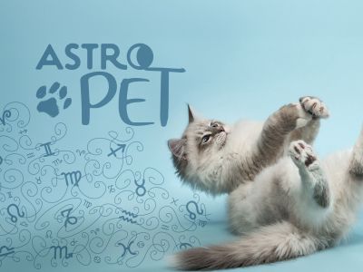 AstroPet από 28/07 έως 03/08: Εβδομαδιαίες προβλέψεις για το κατοικίδιό σου
