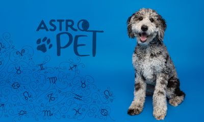 AstroPet από 04/08 έως 10/08: Εβδομαδιαίες προβλέψεις για το κατοικίδιό σου