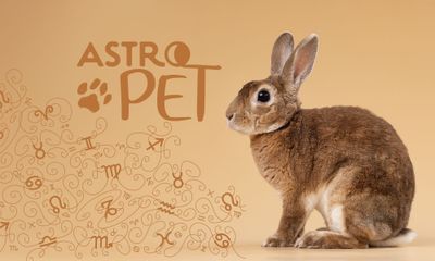 AstroPet από 11/08 έως 17/08: Εβδομαδιαίες προβλέψεις για το κατοικίδιό σου