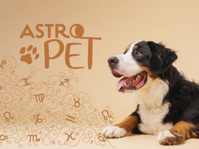 AstroPet από 14/07 έως 20/07: Εβδομαδιαίες προβλέψεις για το κατοικίδιό σου