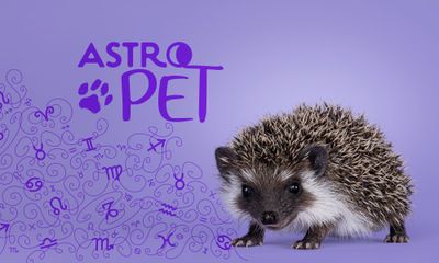 AstroPet από 18/08 έως 24/08: Εβδομαδιαίες προβλέψεις για το κατοικίδιό σου