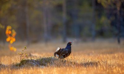 Διάβασε την προσωπική σου πρόβλεψη, για σήμερα 04/09/2026