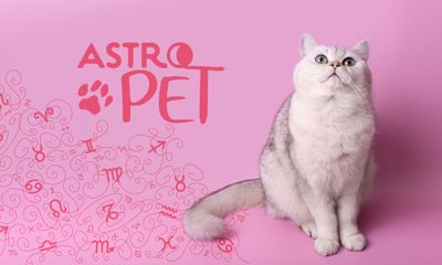 AstroPet από 08/09 έως 14/09: Εβδομαδιαίες προβλέψεις για το κατοικίδιό σου