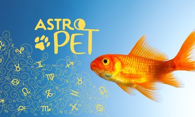 AstroPet από 15/09 έως 21/09: Εβδομαδιαίες προβλέψεις για το κατοικίδιό σου
