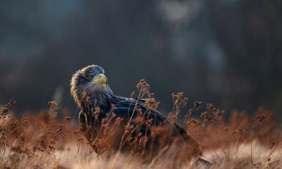 Διάβασε την προσωπική σου πρόβλεψη, για σήμερα 30/09/2026