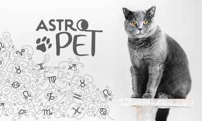 AstroPet από 06/10 έως 12/10: Εβδομαδιαίες προβλέψεις για το κατοικίδιό σου